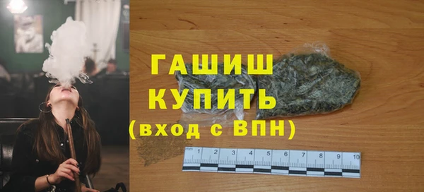 индика Михайловск