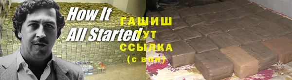 индика Михайловск