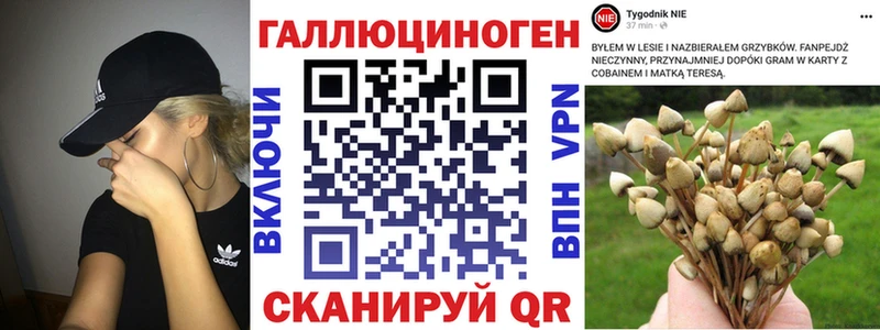 Псилоцибиновые грибы MAGIC MUSHROOMS  сайты даркнета состав  Партизанск 